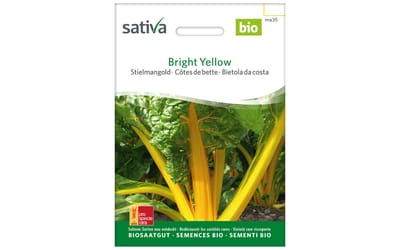 Bright Yellow