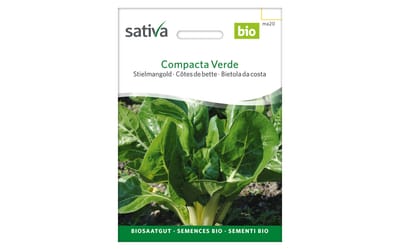 Compacta Verde