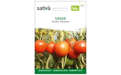 Sieger