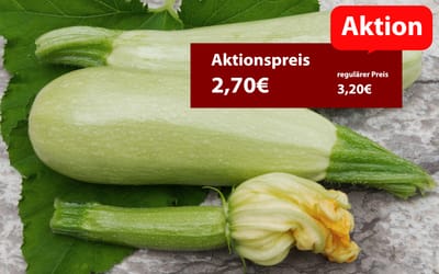 Erken