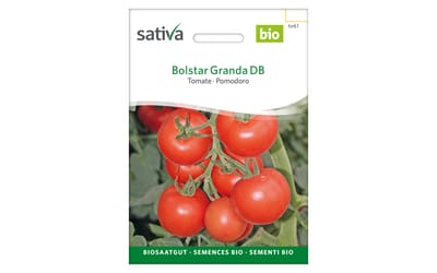 Bolstar Granda