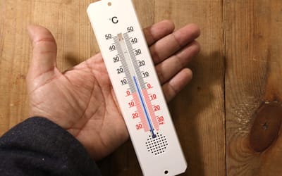 Garten-Thermometer