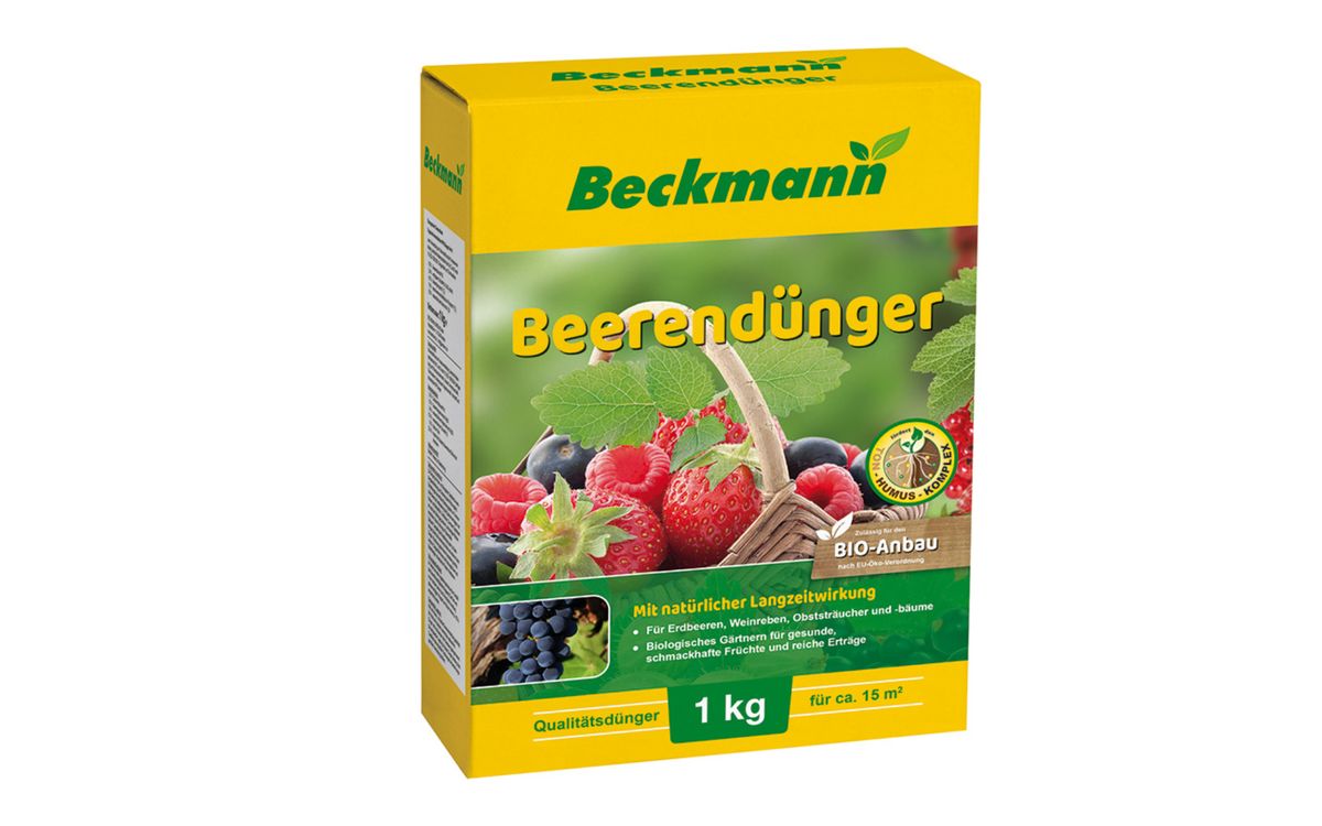 Beerendünger 6+3+8
