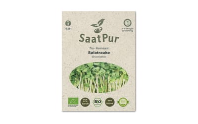 BIO-Keimsprossen Salatrauke