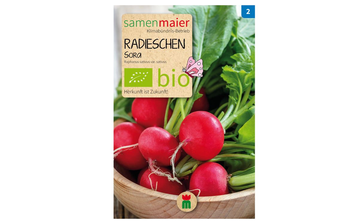 Radieschen Sora