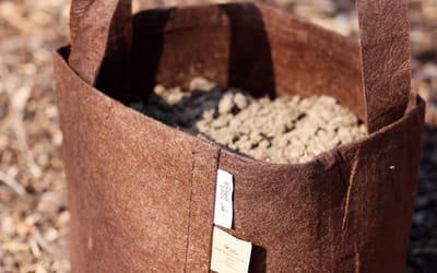 Pflanzsack Root Pouch - 16 Liter