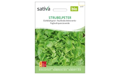 Strubelpeter