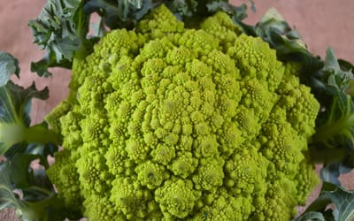 Romanesco