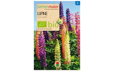 Lupine