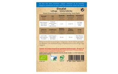 Eissalat Grazer Krauthäuptel 2
