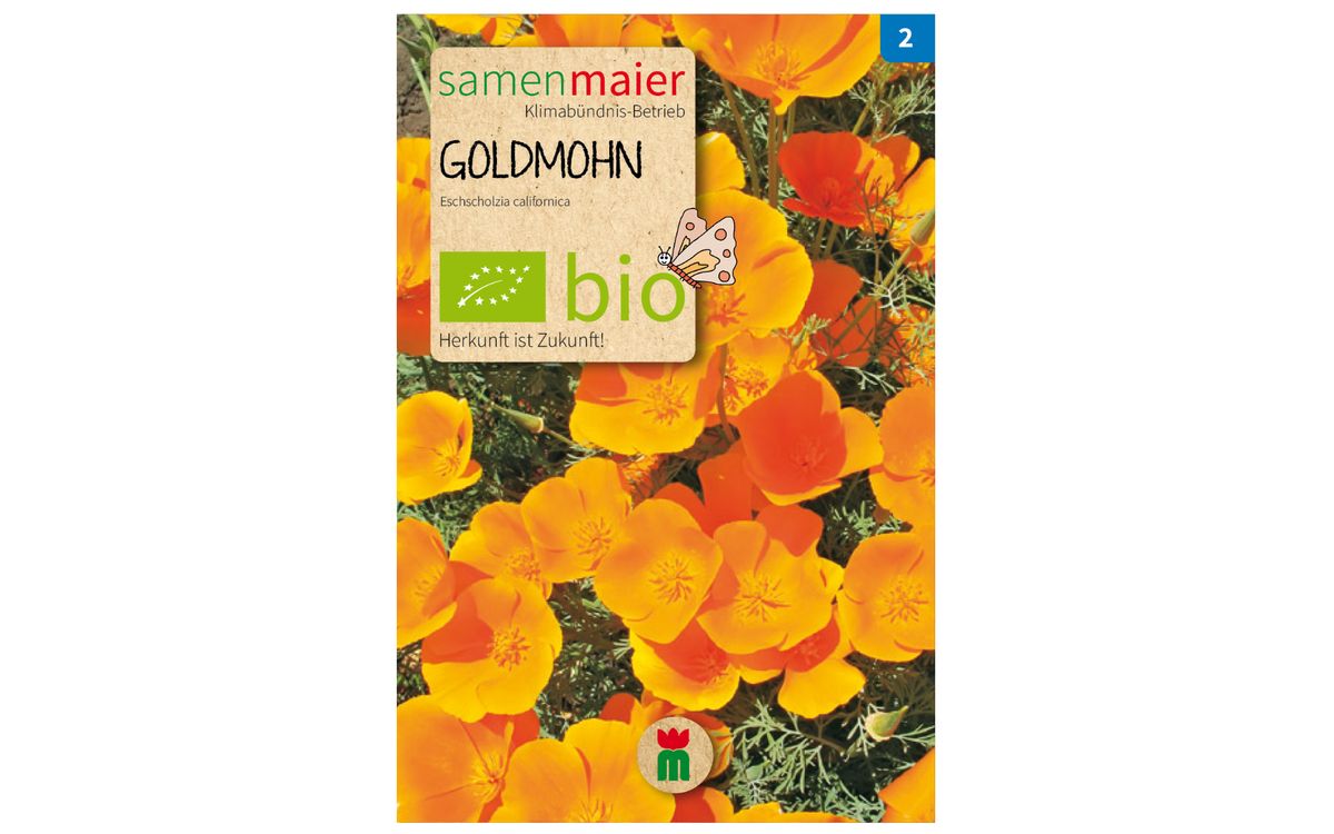 Goldmohn