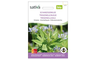 Schabzigerklee