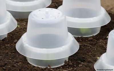 Haube für Schneckenkragen 12er Set