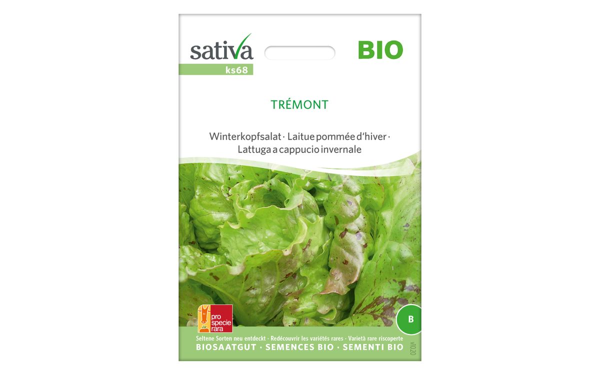 Winterkopfsalat Trémont