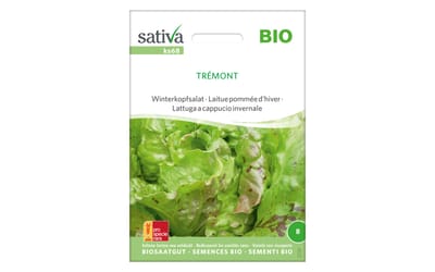 Winterkopfsalat Trémont