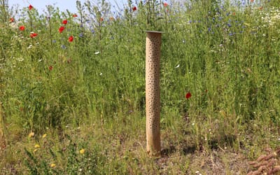 Wildbienen Nisthilfe Stamm 115 cm mit Zubehör