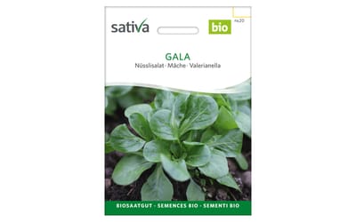 Gala