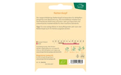 Wegerichblättriger Natternkopf