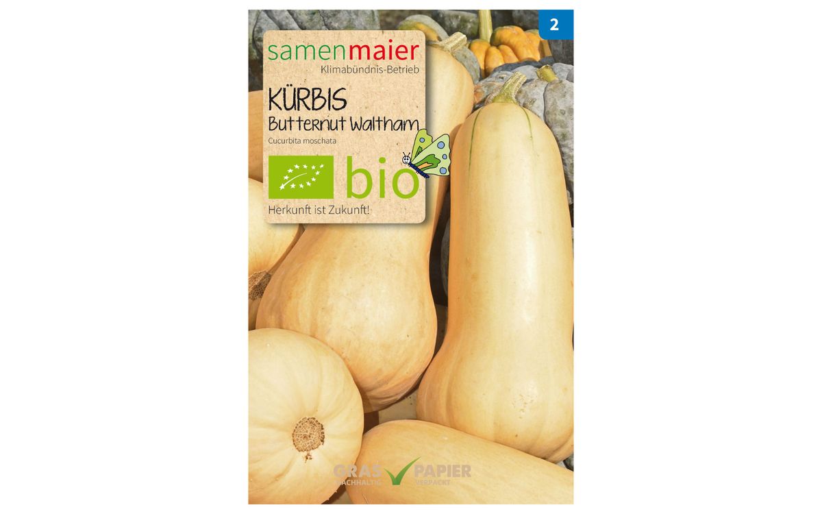 Butternut Waltham