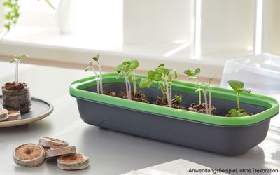 Fensterbank Anzuchtschale S - Anthrazit
