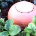 Vorschaubild 6
