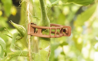 Tomatenclip - 10er Set