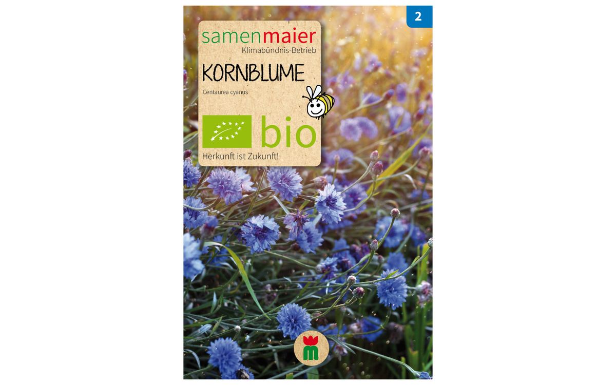 Kornblume