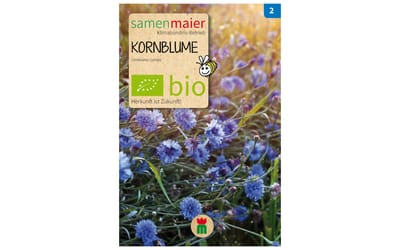 Kornblume