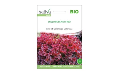 Lollo Rossa di Vino