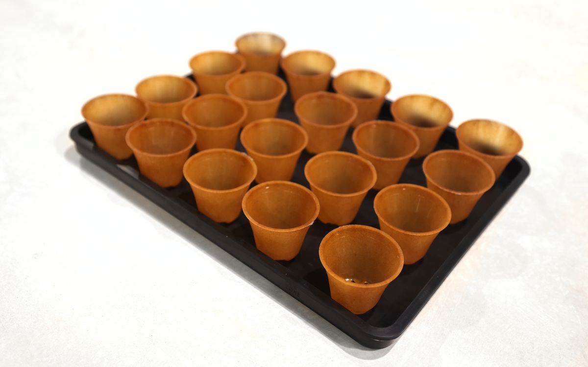 Untersetzer für Saatgutschalen aus Naturkautschuk - Set mit 20 kleinen Pflanztöpfen