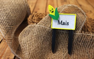 Gemüseschild Mais
