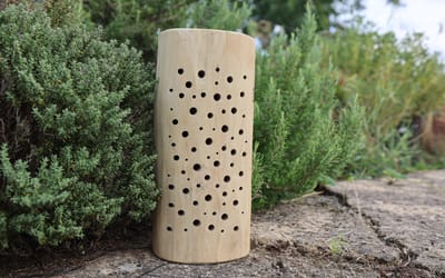Wildbienen Nisthilfe Stamm 30 cm - Stamm 30 cm