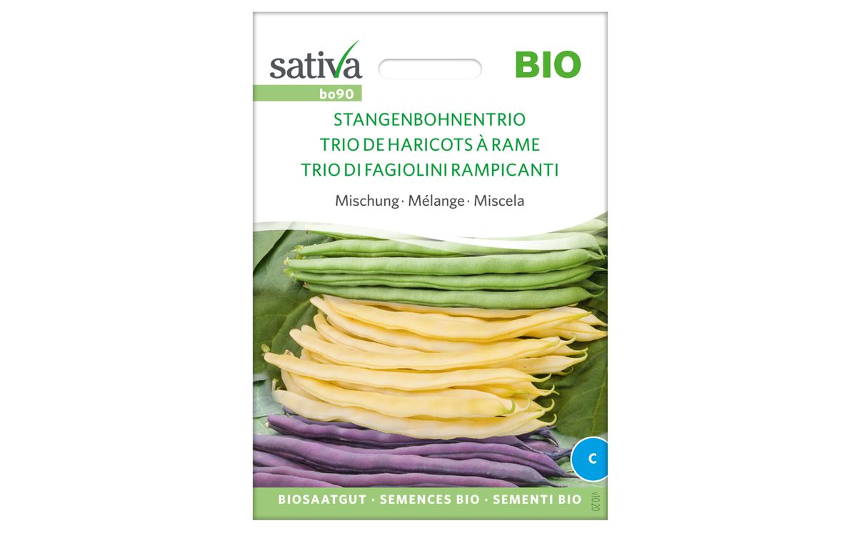 Stangenbohnentrio