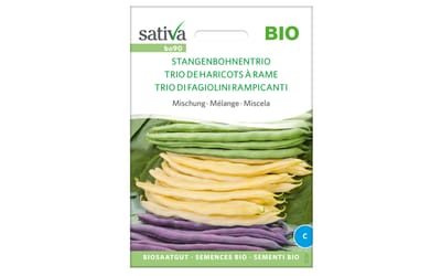 Stangenbohnentrio