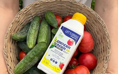Lebender Dünger Organic-Balance