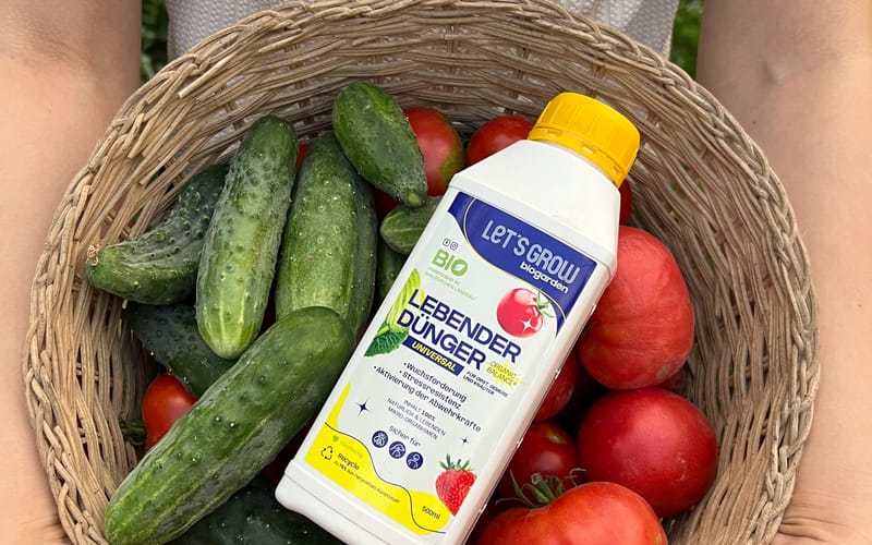 aloe vera drink pregnancy Aloe Vera Drink - 34oz main image 0