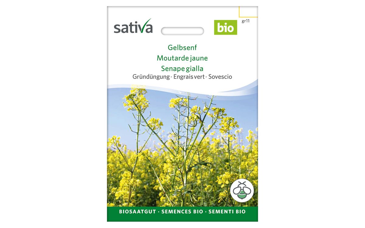 Gelbsenf - 25 g