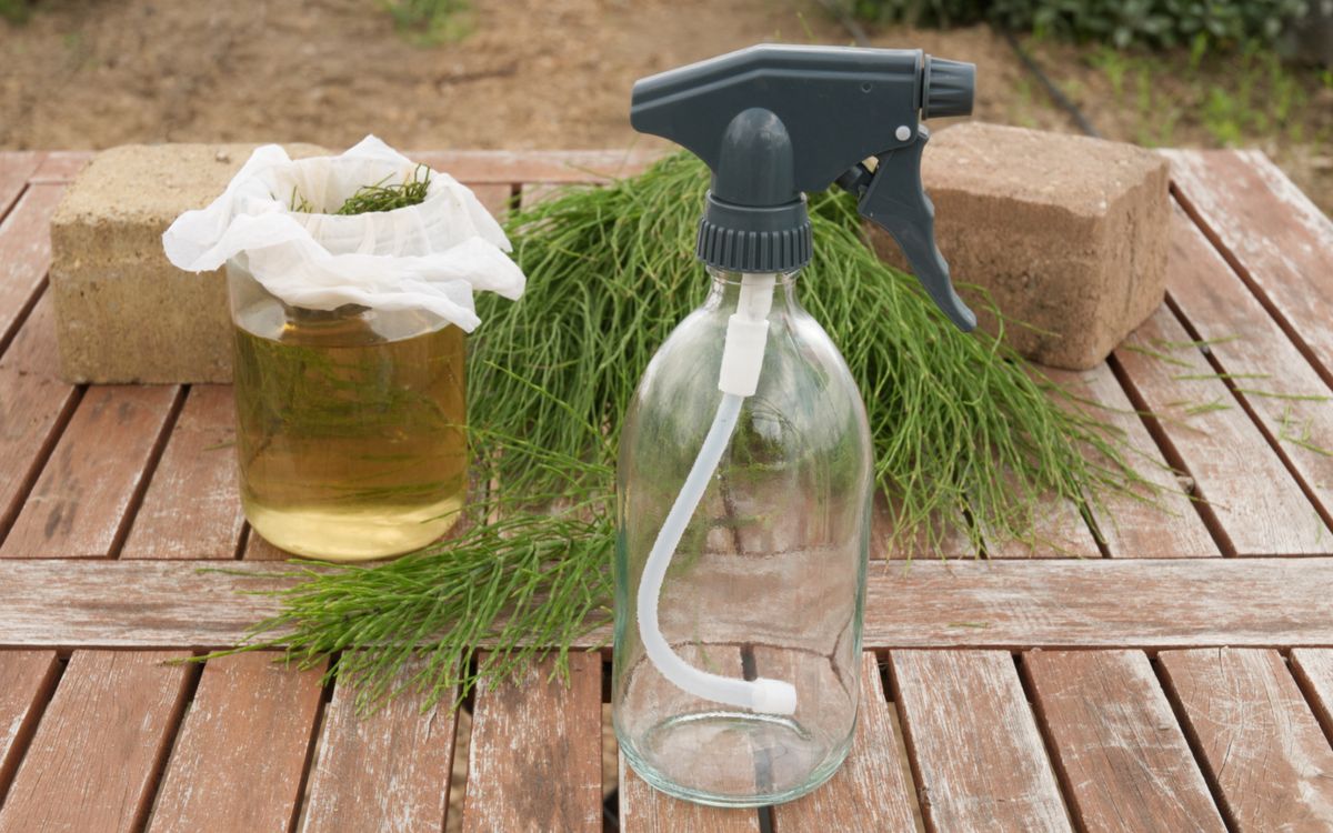Glasflasche mit Sprühkopf