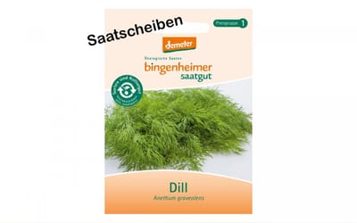 Dill - Saatscheiben