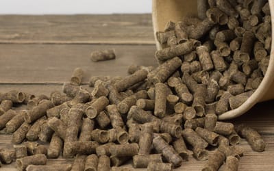 Schafwoll-Pellets 450g