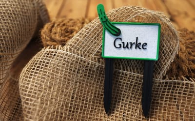 Gemüseschild Gurke