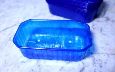 Pikierschale Blau