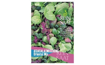 Asiasalatmischung Oriental Mix