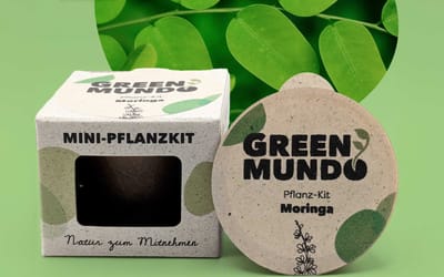 Pflanz-Kit Moringa