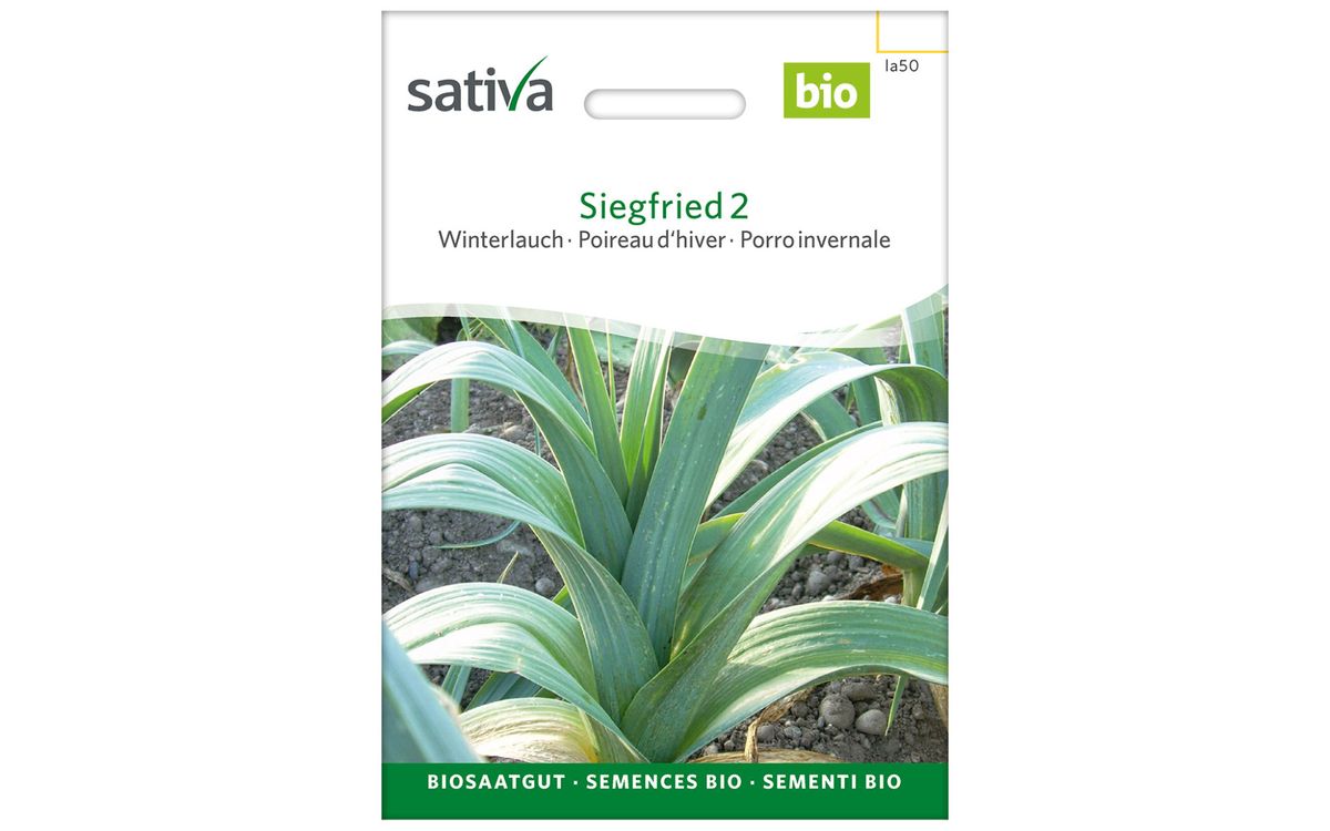 Siegfried 2