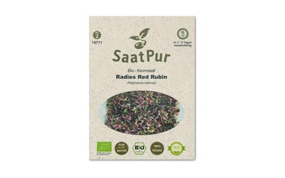 BIO-Keimsprossen Radies Red Rubin