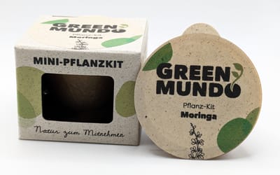 Pflanz-Kit Moringa