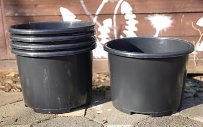 Pflanzkübel 15 Liter - 5 Kübel