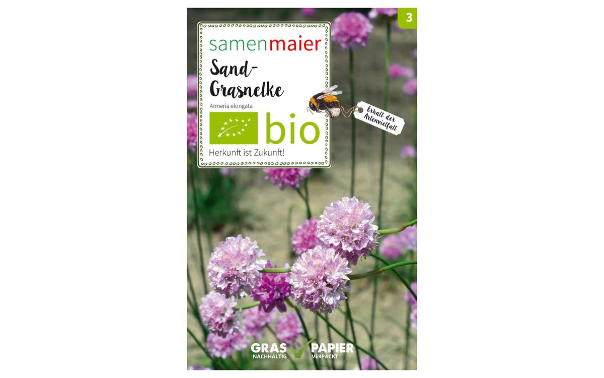 Sand-Grasnelke