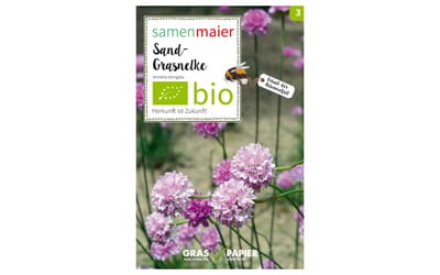 Sand-Grasnelke